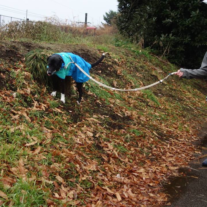 4ce83877 8558 462c 96e4 a91d835c1bdd 1703985767150