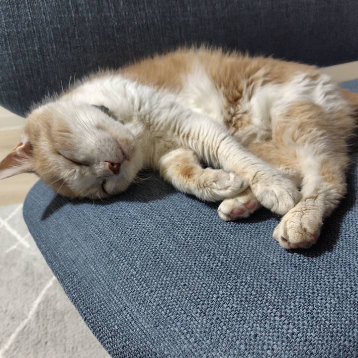 4ce8667b 20ed 4c39 9b9d 574a9d71e840 1728036403326