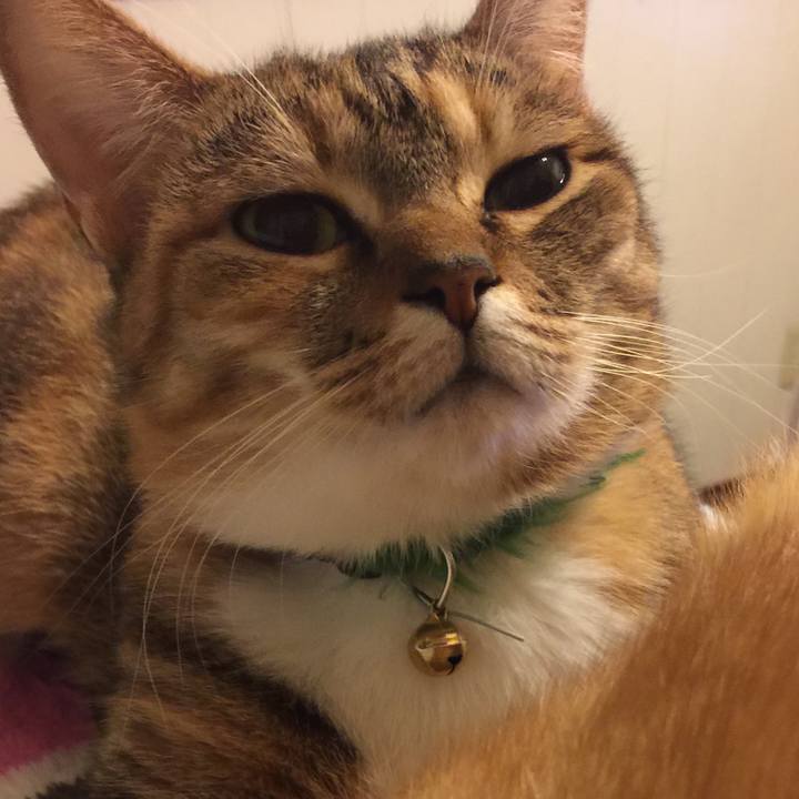 4ce87127 bebb 4330 8c37 f079cac057f6 1547125455338