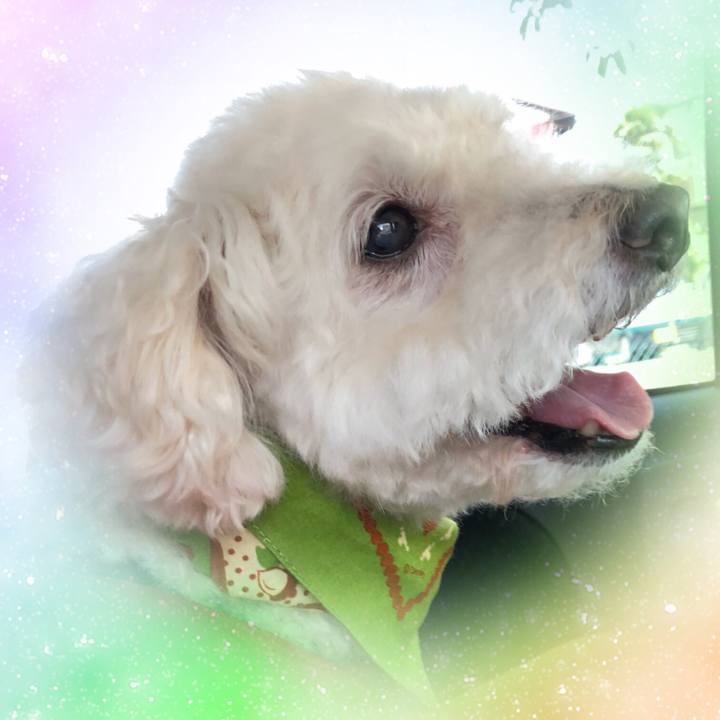 4ce8f017 60c1 4be0 b90c efd4e4cdab43 1590385814154