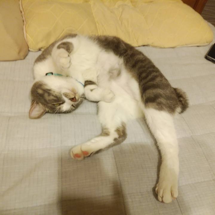 4ce8f4ce 82ac 456d 81d8 c55426bd4c65 1588340735928