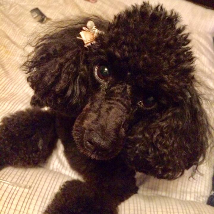 4ce9038e c488 40f4 9c28 786a7693a3d9 1567167243137