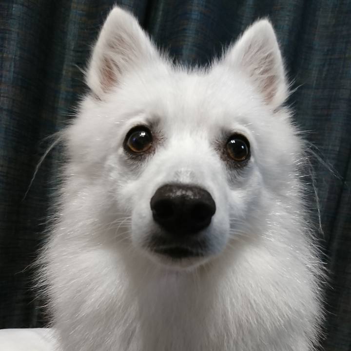 4ce933ad 1323 4ab8 8111 797806e9fc19 1536917462104