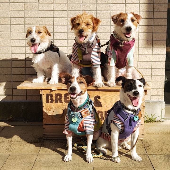 4ce93e46 f585 4598 aeff a4da811678ef 1725522535034