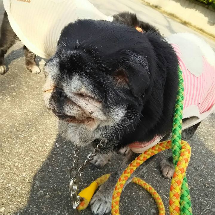 4ce948ac f9ad 4055 90b9 2e98104b7be9 1539306191850