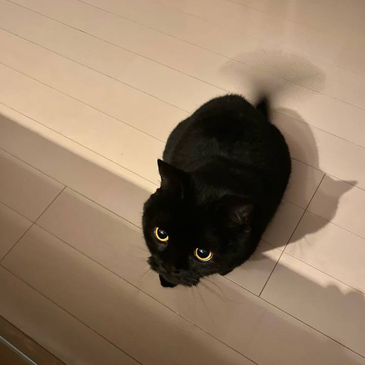 4ce96fd8 0646 44d5 8da2 839f31270704 1706534008077