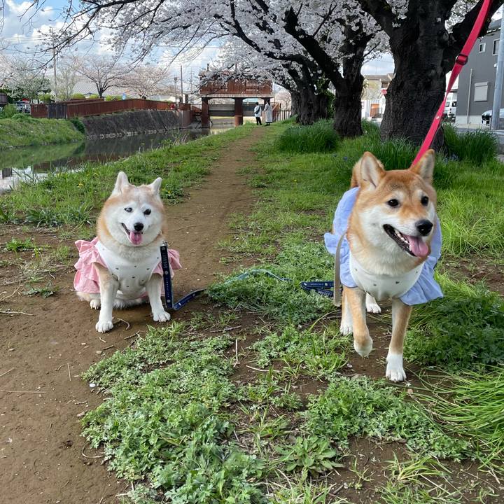 4ce99e60 0efb 44c6 9504 c99335dc1b0c 1725236954901