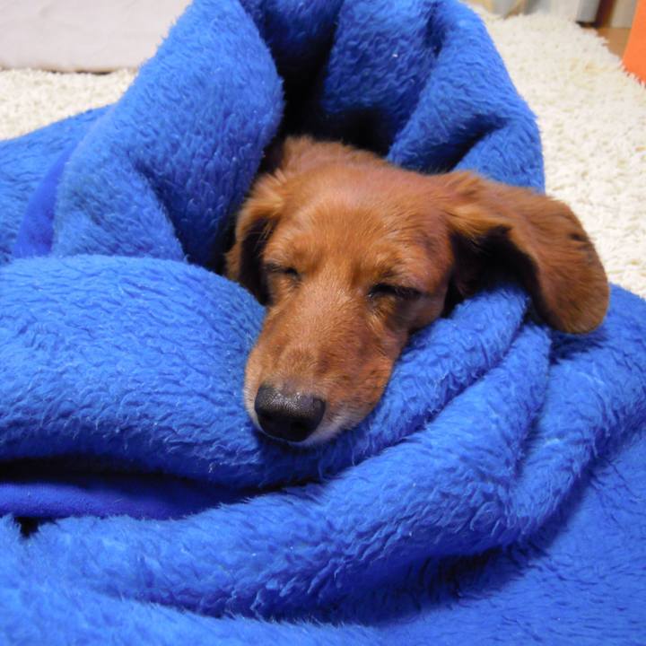 4ce9af9f e433 4490 bd80 f8f3169f0141 1537898977933