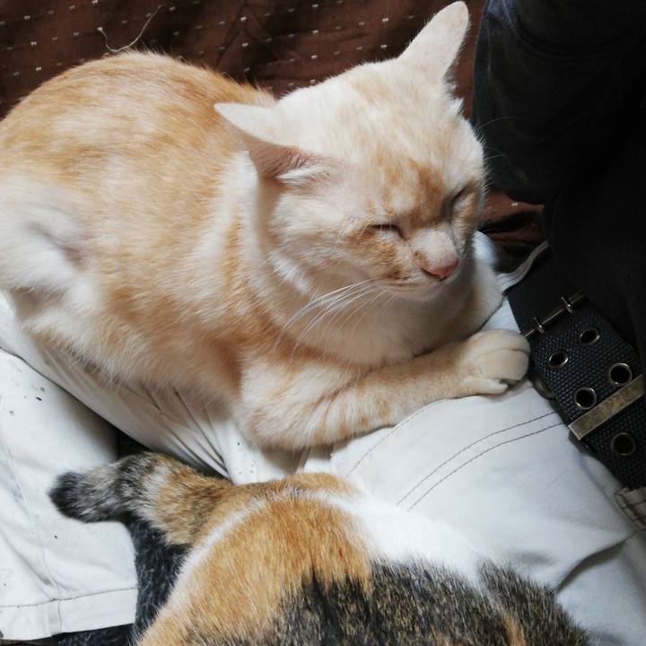 4ce9d304 a416 4b9a 8421 9129085f56ff 1609971686924