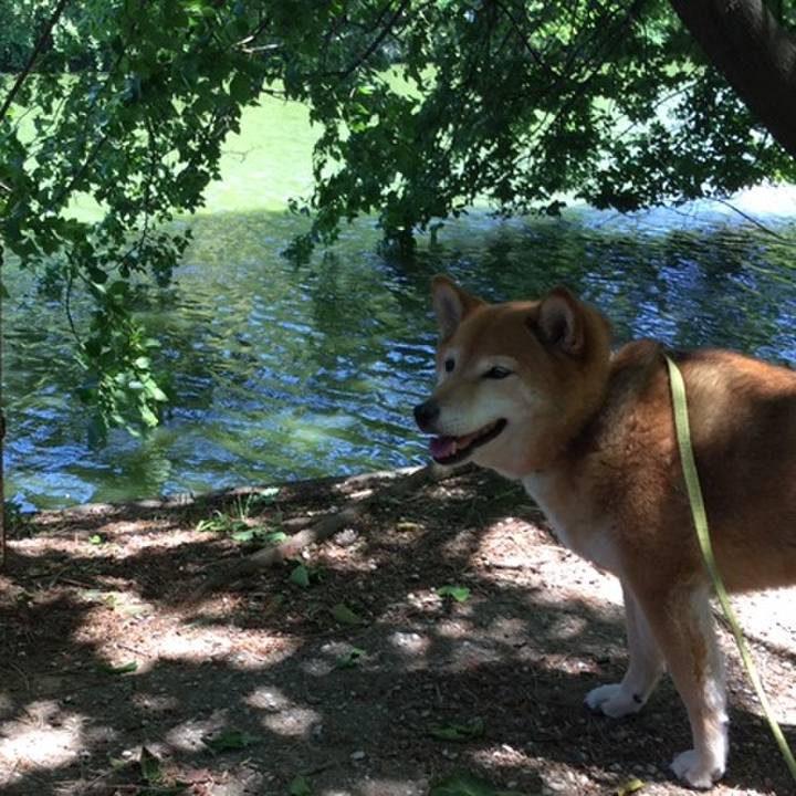 4ce9e114 4bb0 4f1b 8996 01ca8eb5142d 1558683649586