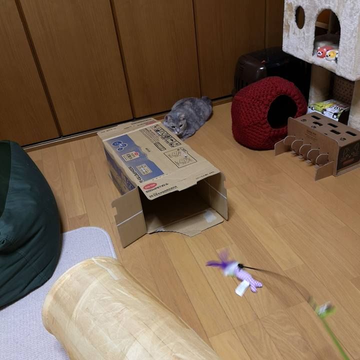 4cea1595 bb85 4dd0 af4c f9697b4132c6 1558012732503