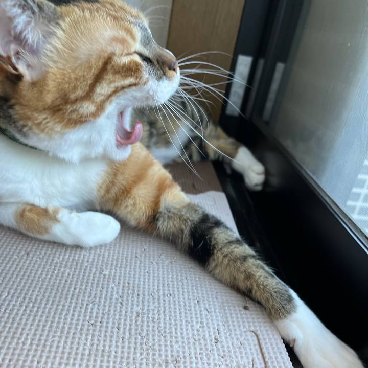 4cea7014 1660 4ce8 bea8 82f1e23e4a48 1691223109759