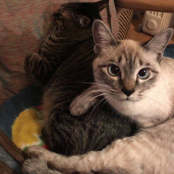 4cea8af0 9377 4df3 a086 9b970679243d 1547205520412