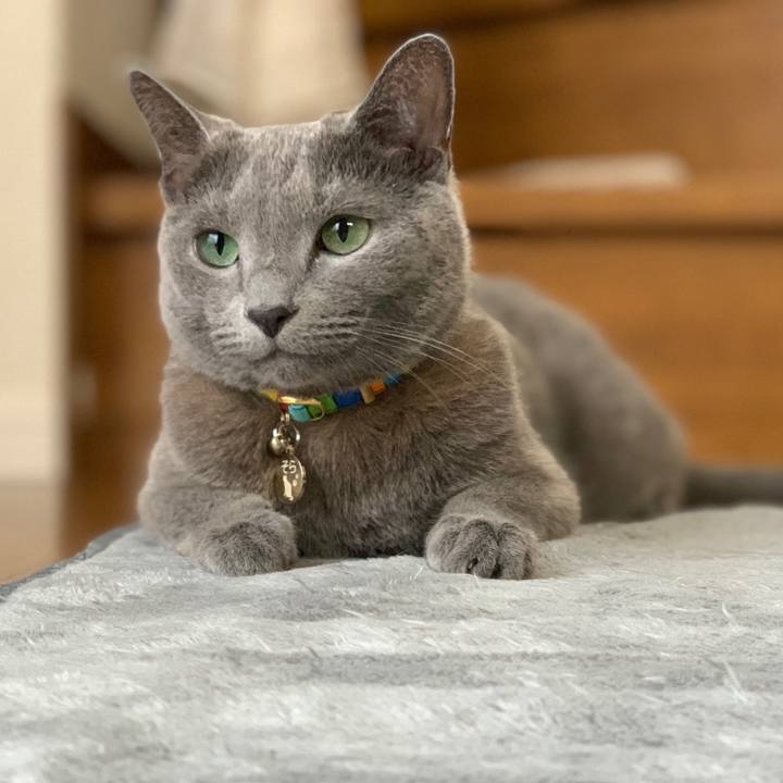 4cea9e52 6860 4b5d 9f24 0500c245930b 1659752270083