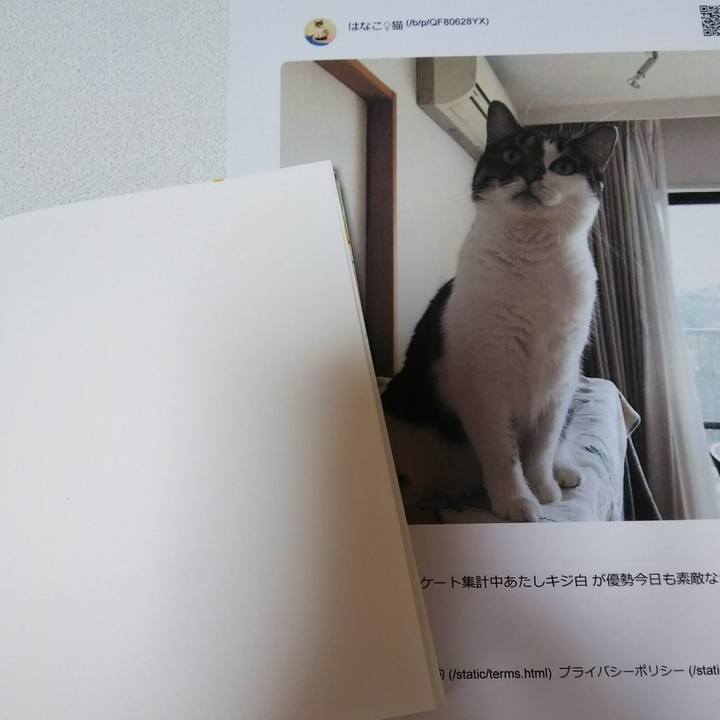 4ceaeb6b 6f18 425c 8e55 4b88e2e97eb4 1538807452171