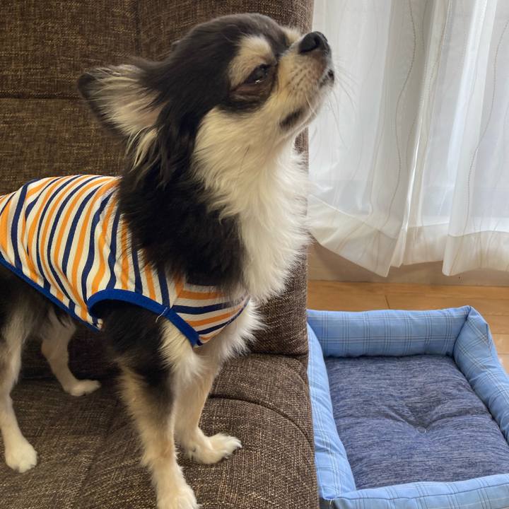 4ceaedce e36e 469d 9309 ad873e4cf3ad 1693735493696