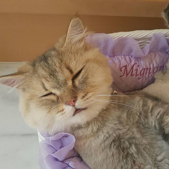 4ceaf530 d41b 40bc bab6 e962a29f91fc 1596693438982