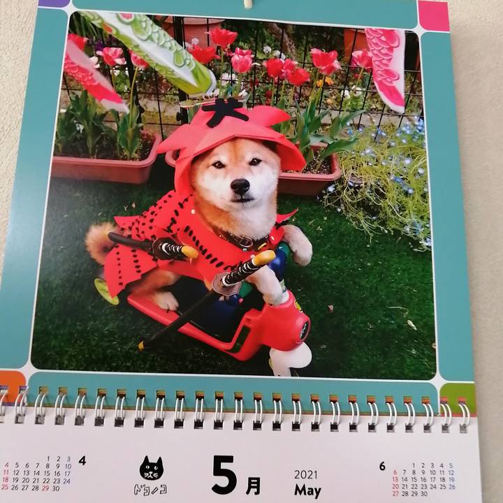 4ceb4edb b723 4a76 aaef d44aaa28c3ea 1619838477033