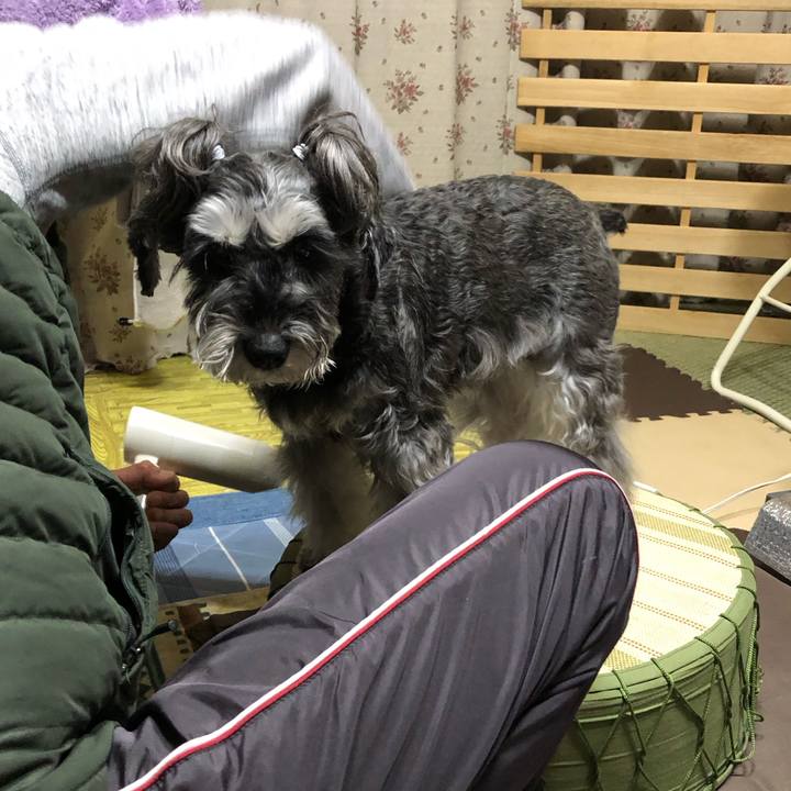 4ceb7afd 6d72 4240 b232 630c8517dfcc 1705830543914