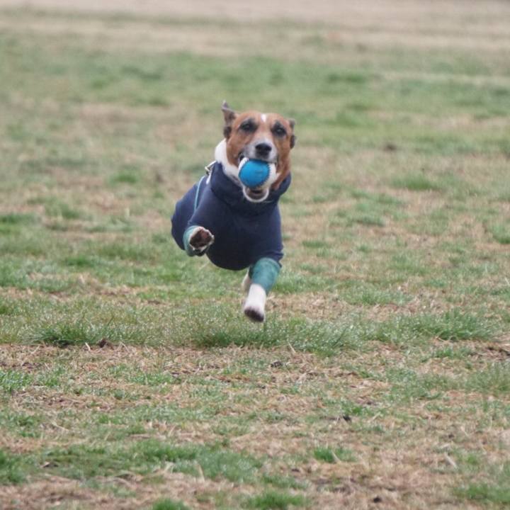 4ceb8756 d6eb 4b90 b779 1706efa29a00 1551826711261