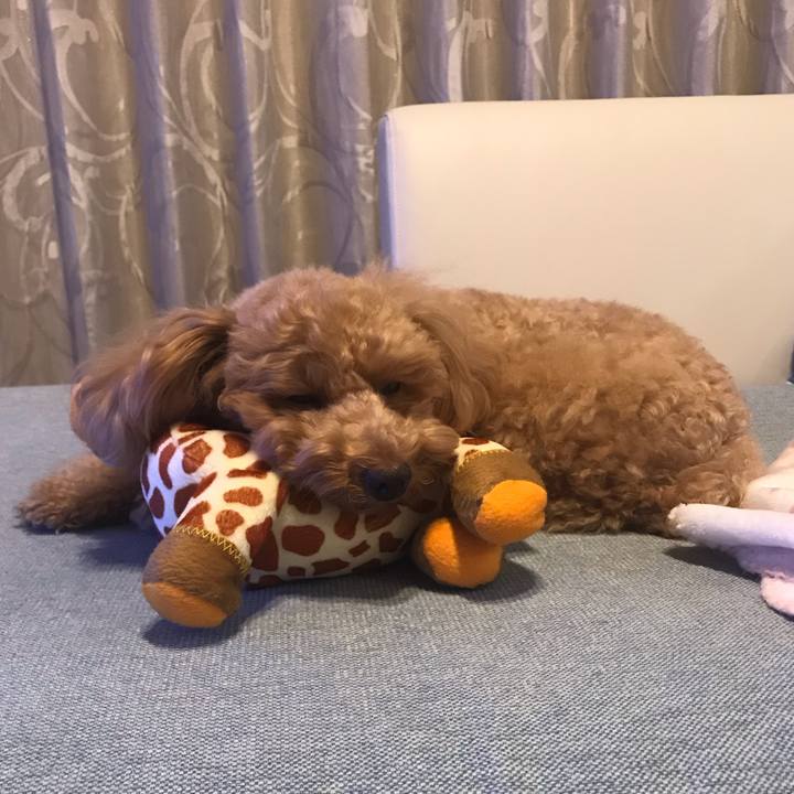 4ceb8b56 9209 4978 8c5f d5725f0764ae 1548323115403