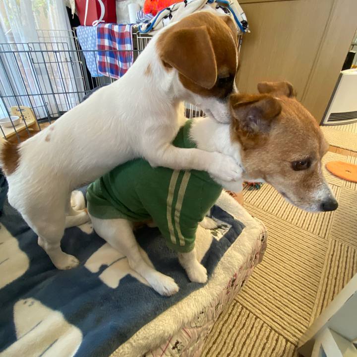 4ceb92a5 2a09 48b7 9666 af9420e25d56 1698899734299