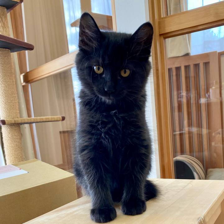 4cebab77 b350 4e74 b2fa 8000615bf372 1701918583610