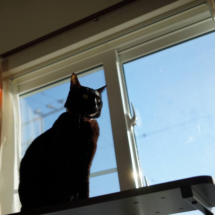 4cebeb42 182a 4324 b2fb 3fe6d0d0f403 1512785029304