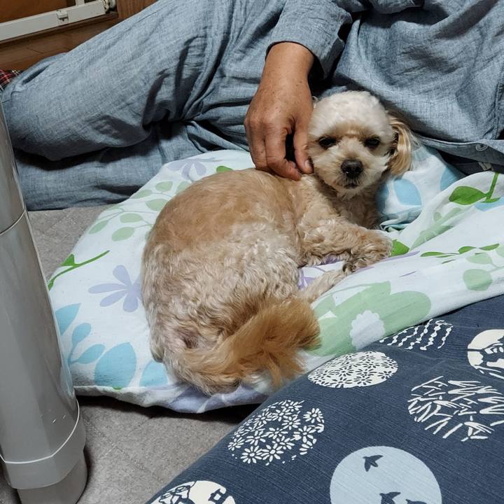 4cebf2e0 ba21 4813 8ab7 106e0835a7ee 1667419740235