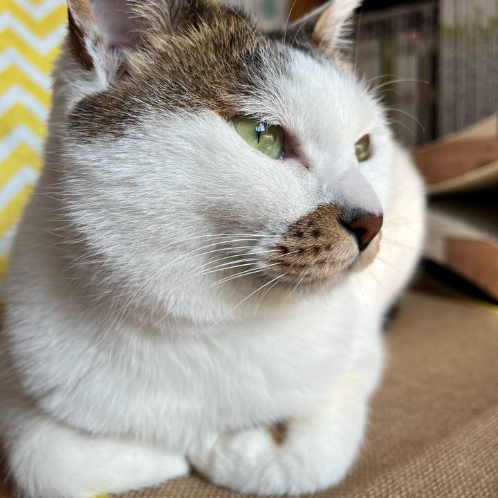 4cec112e 1b5e 48f7 9f55 d93ad39c4229 1644549858816