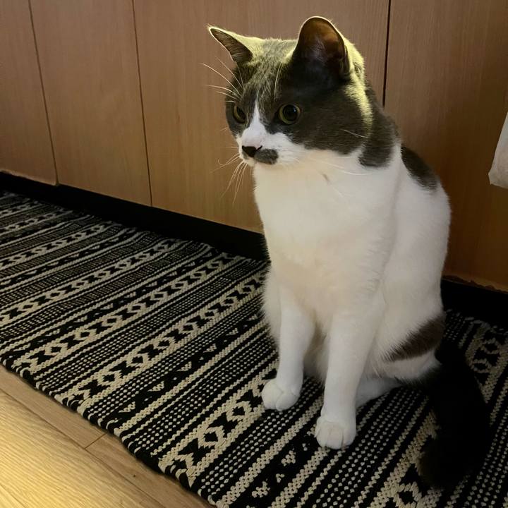 4cec1915 7b78 4ea2 9055 a00b881aa0b5 1654298932905