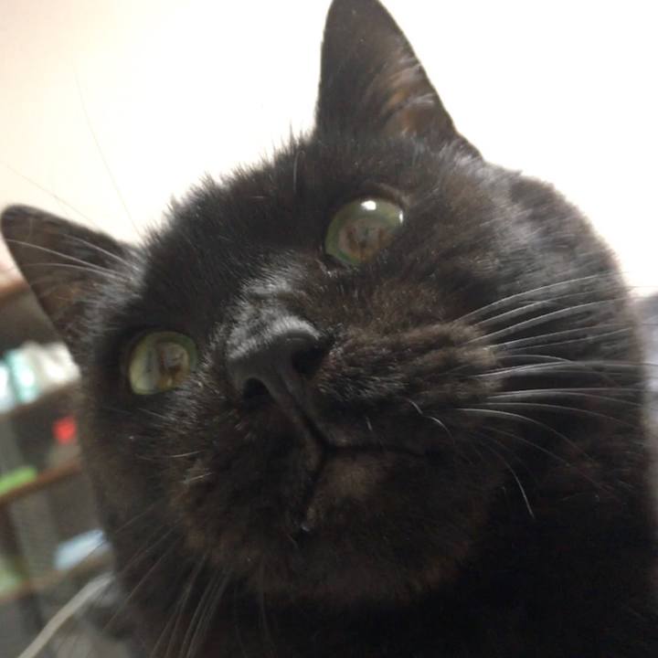 4cec3f55 0aee 4ddb 9450 b2a4bc8d4fc1 1545131148543