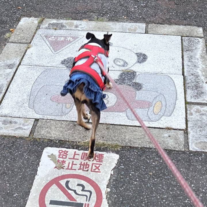 4cec5292 3346 4073 8f80 079ece556330 1751834194848