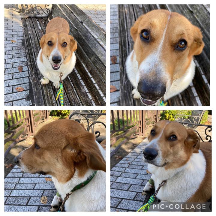 4cec5ecb 6076 46c6 be3b 7c80c4a1878f 1635293732990