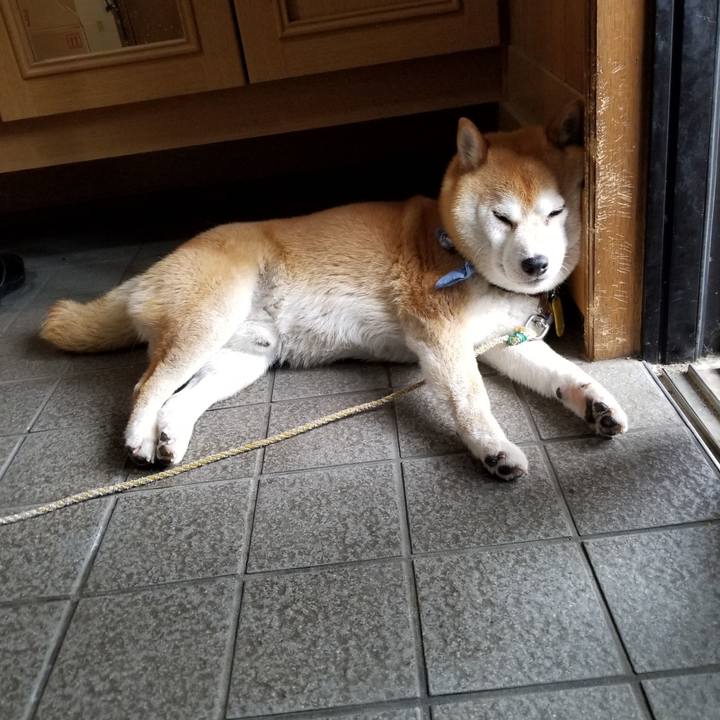 4cecfc14 63a8 499b b1fe 52160f1ded4b 1560641792745