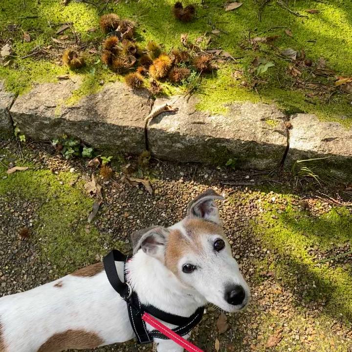 4ced3985 d255 4bca 8e28 d270f8ab8318 1601346285212