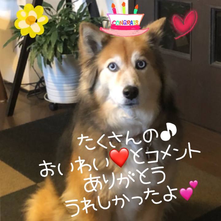 4ced7e80 77c2 4ed7 978b 74ef7867f019 1642610021271