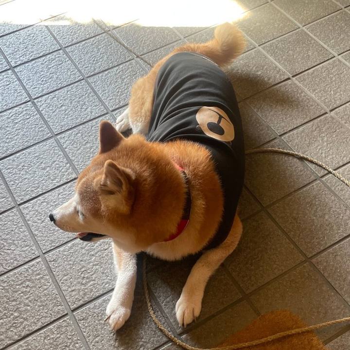 4cedb4fa 24b8 4500 9aa4 a775d2ad6ed5 1727956632301