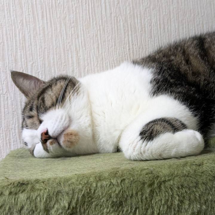 4cedce3a eb27 43a9 aac6 2f8a1509b06e 1726571298178