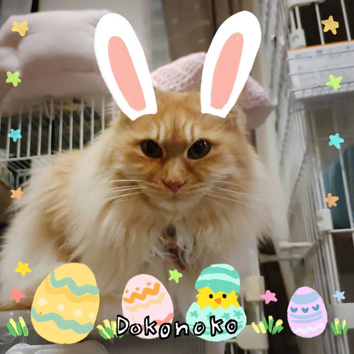 4cede200 e572 4fd9 8df4 d7c79c046e35 1712233550069