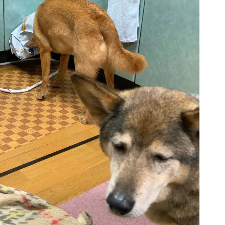 4cedff29 d461 4a86 b538 123d349cfa01 1560256042872