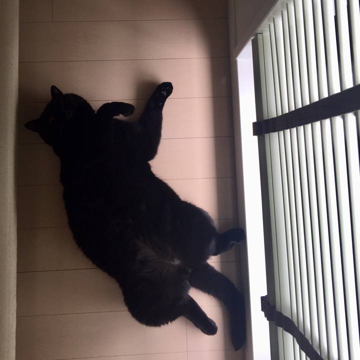 4cee3170 950e 44c5 9498 b6b458ebc0b5 1530660950916