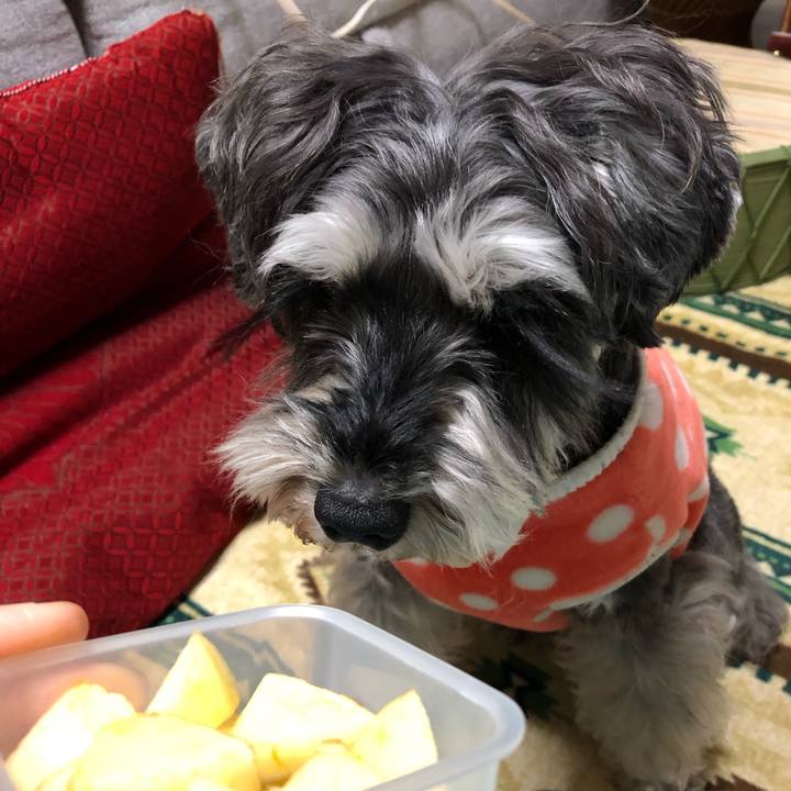 4cee323a 0747 43d8 8f4f 6526e469a342 1644933894957