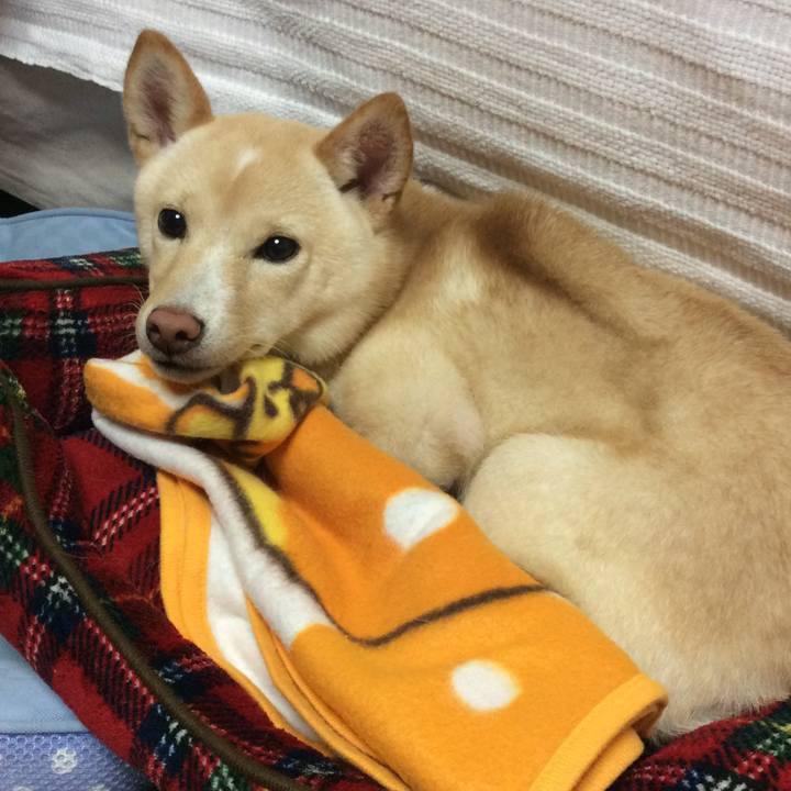 4cee333c f33c 49c1 8d19 9da25b2d8c4d 1508329346690