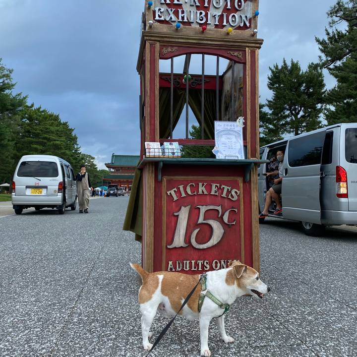 4cee44e6 a685 4349 9d7e c94f32503e20 1656112288565