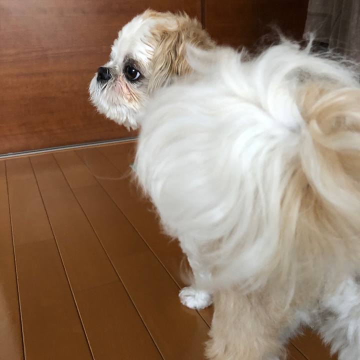 4cee6c21 0ac5 4589 a807 ed5dd0c2b5f8 1529800356747