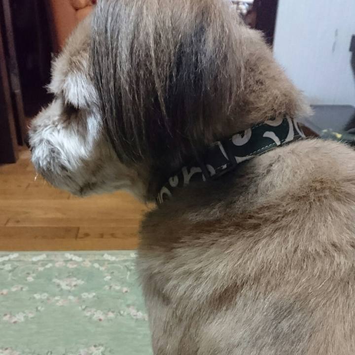 4cee6d2e 9895 4f87 89c9 6180a8cf23c2 1511862357211