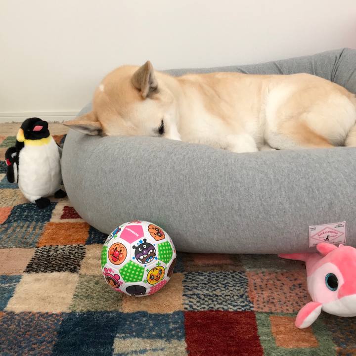 4cee7dd5 866a 47c4 995b 4f5cbd64c38e 1515642845698