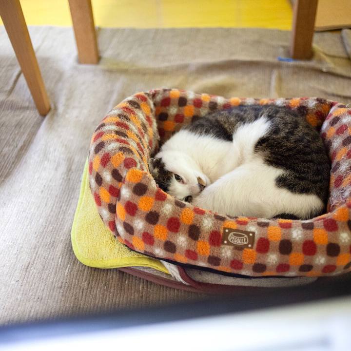 4cee85f3 c5a1 4240 9a67 8189c4085613 1548588581852