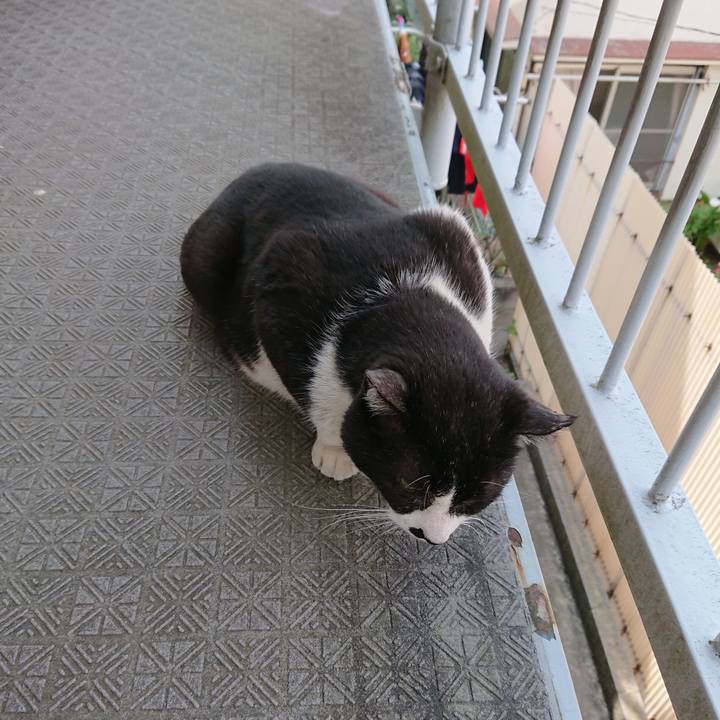 4cee9b6c 7c71 430a 8ae7 c19d97c2fd58 1557637431258